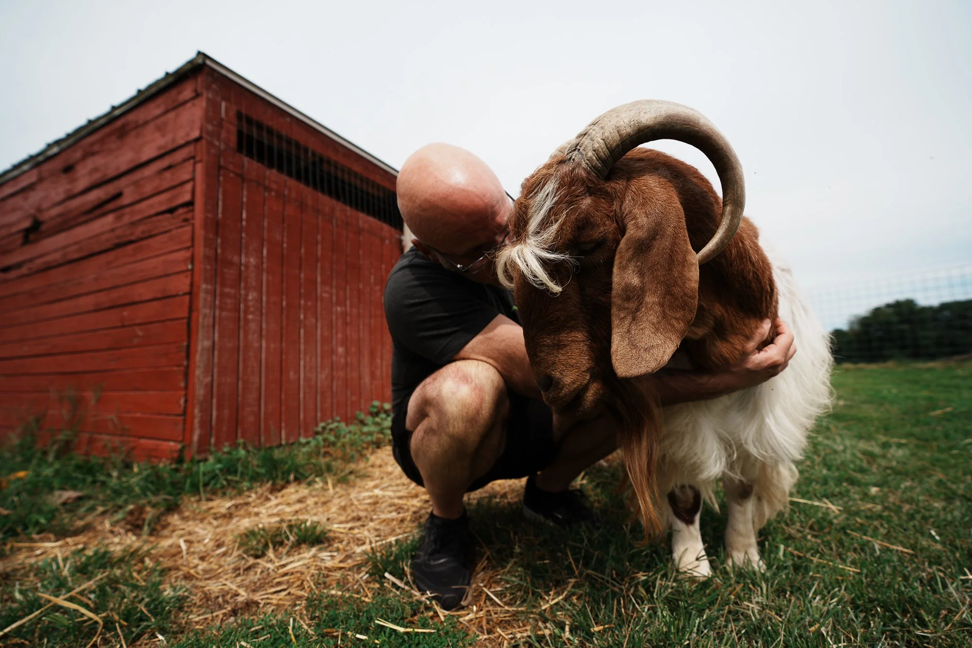 Gary Yourofsky and goat at SASHA farmed animal sanctuary Michigan.jpg