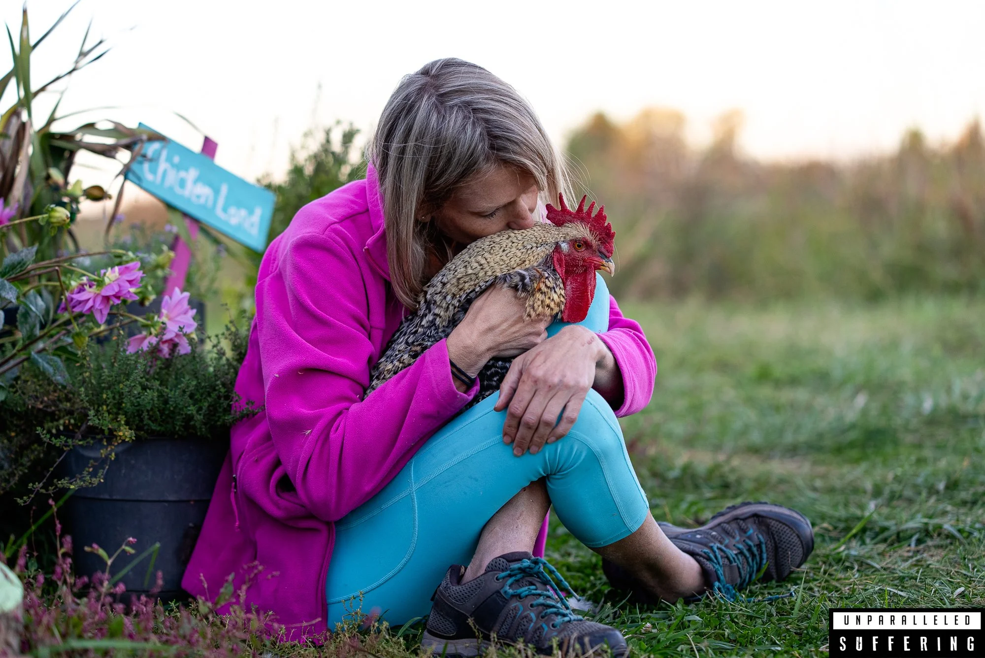 Quaker and Fernie chicken microsanctuary adopt a bird network.jpg