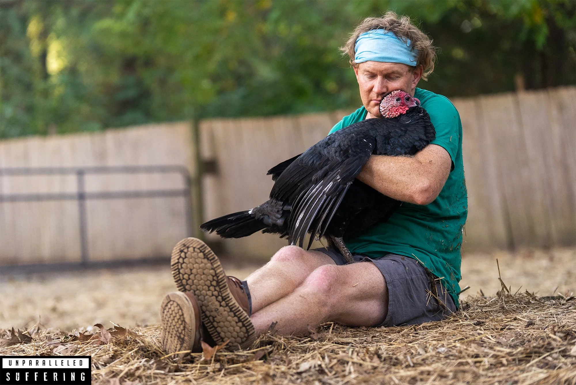 Life With Pigs Farm Sanctuary-29.jpg