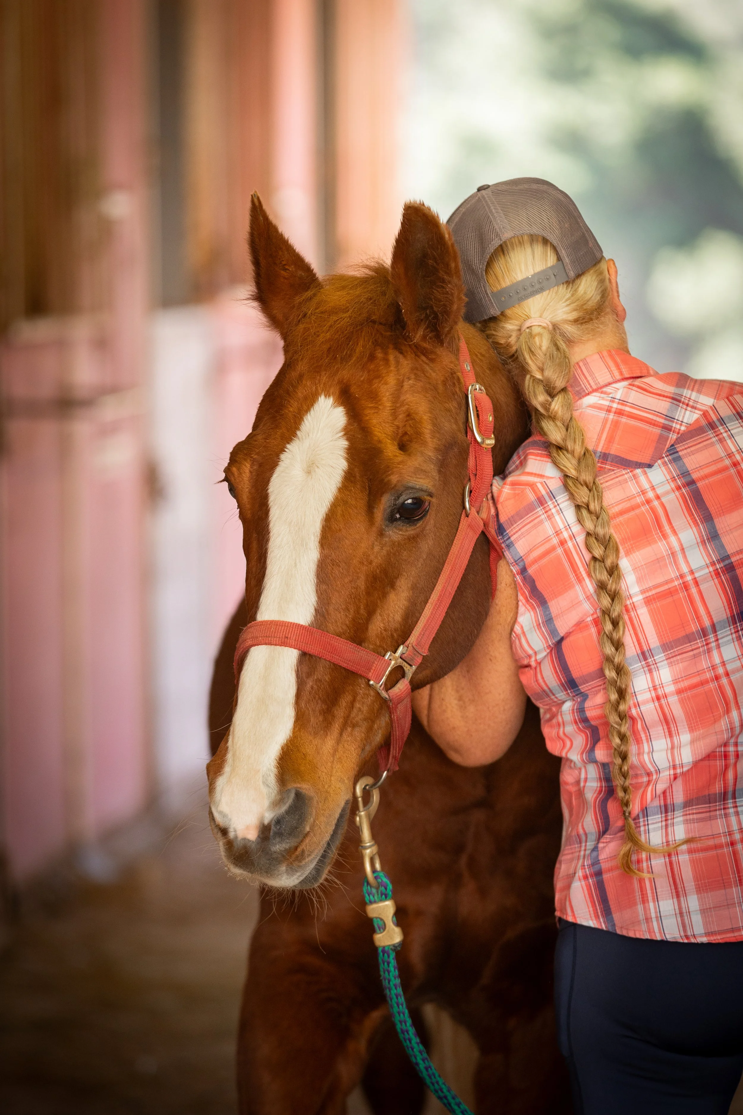 Healing Heroes Through Horsemanship Final010.jpg