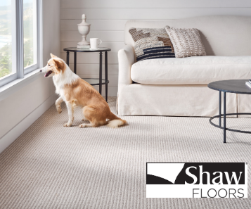 Shaw - Carpet