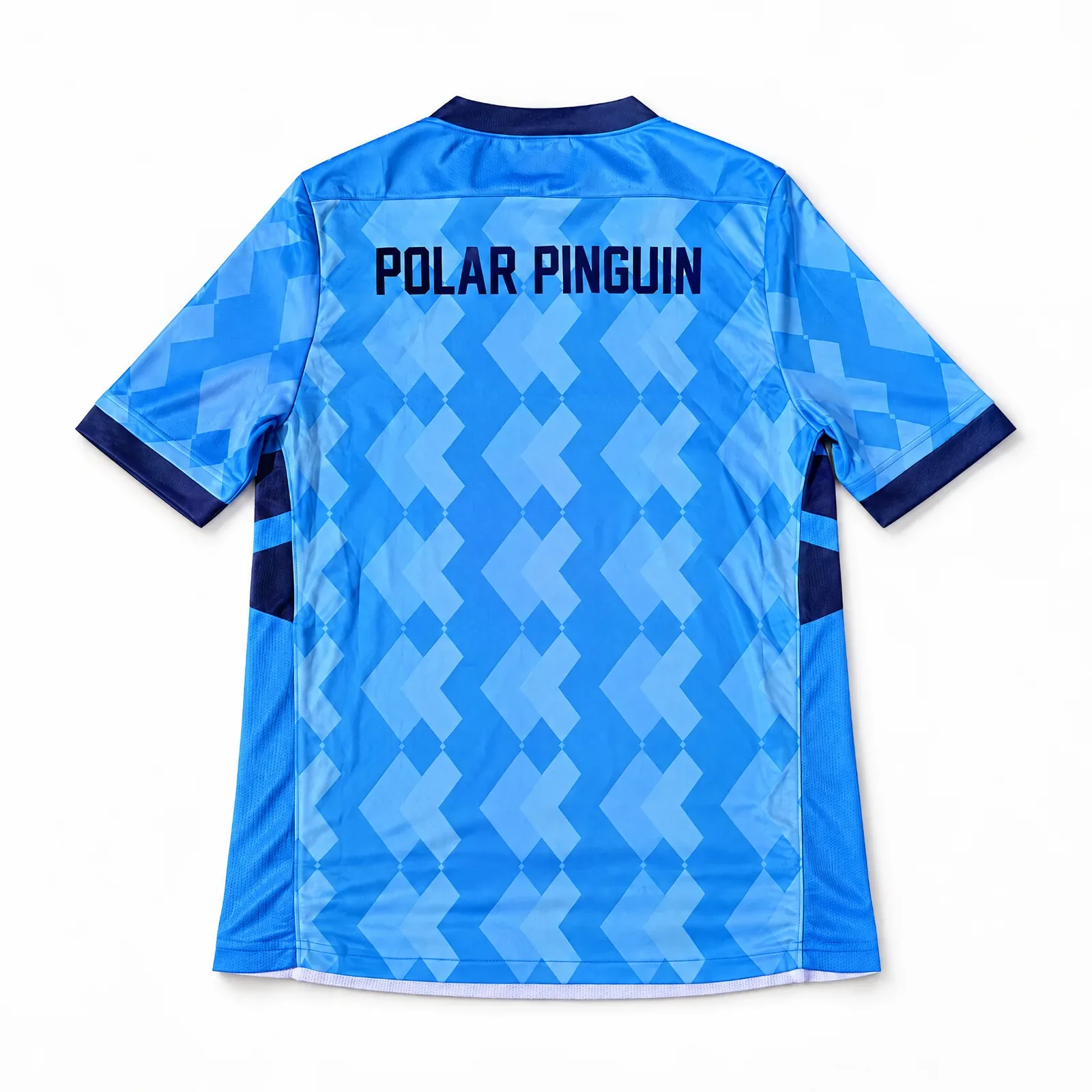 raval-polar-pinguin-auswaertstrikot-rueckseite.webp