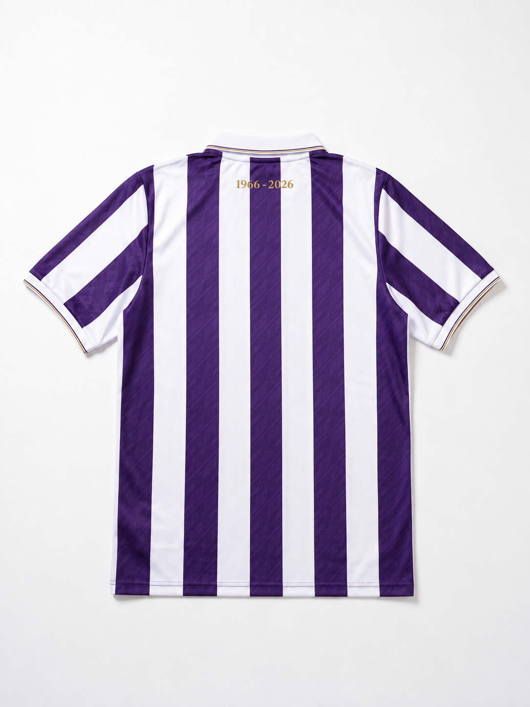 Spieler_Trikot_Back (1).png