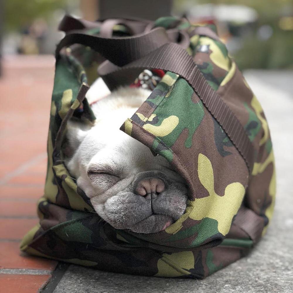 Cordura Camo Zipper Dog Carrier / $145