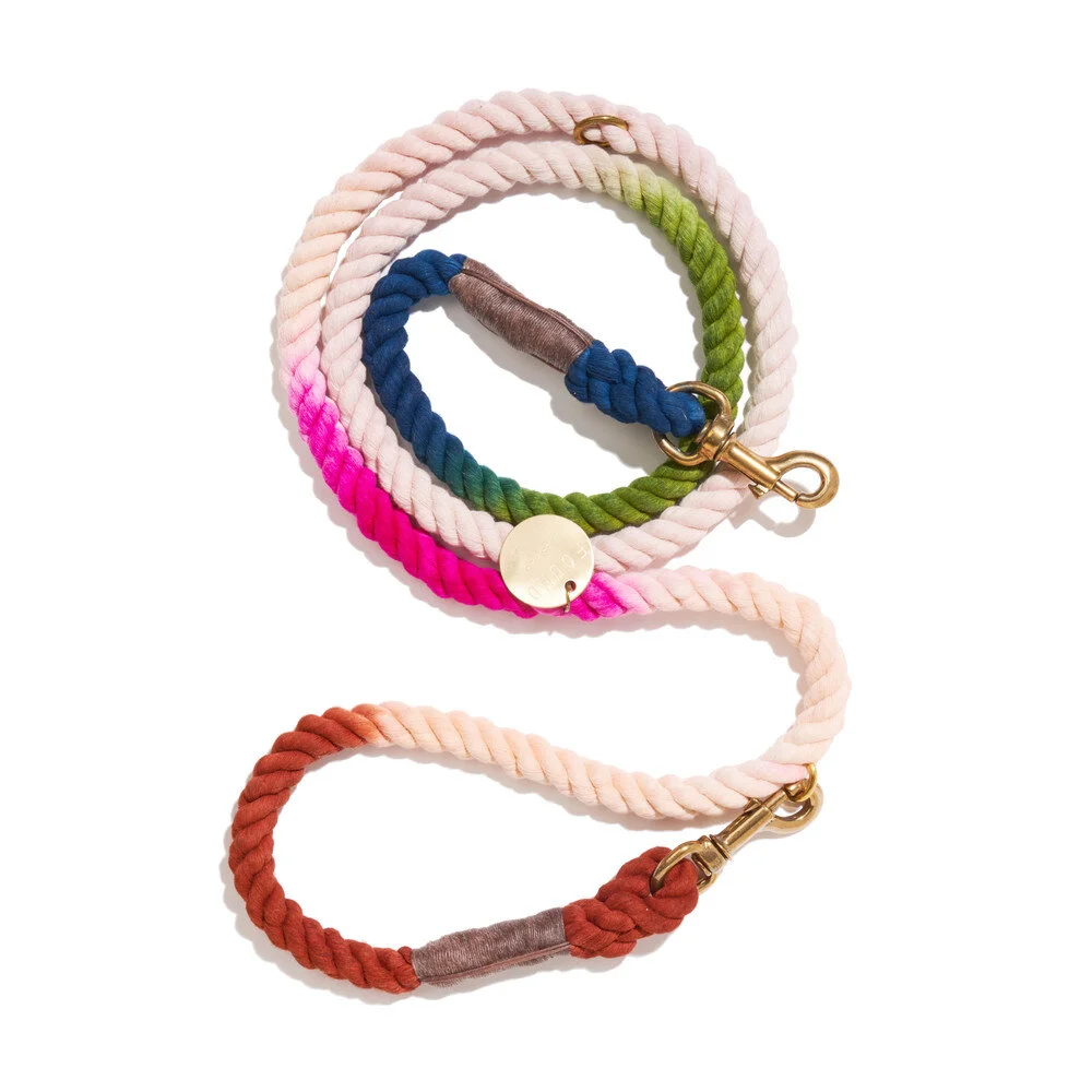 The Spring Bouquet Dog Leash / $62