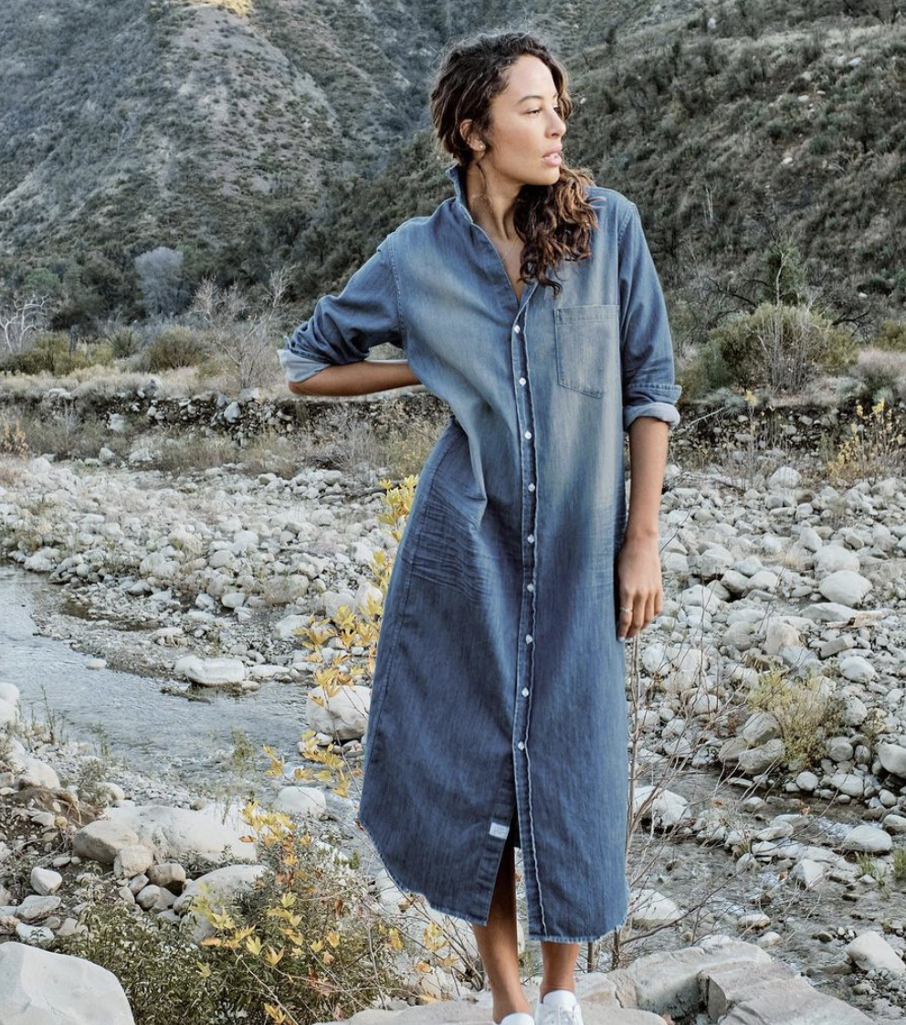 Rory Denim Shirt Dress / $398