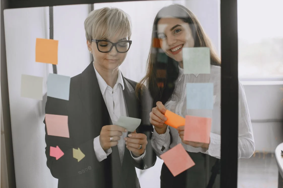 The Role of the Tax Function: WHY, WHAT, and HOW