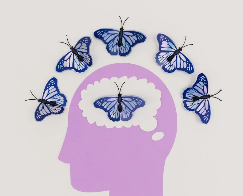 Leading the Transformation Programme