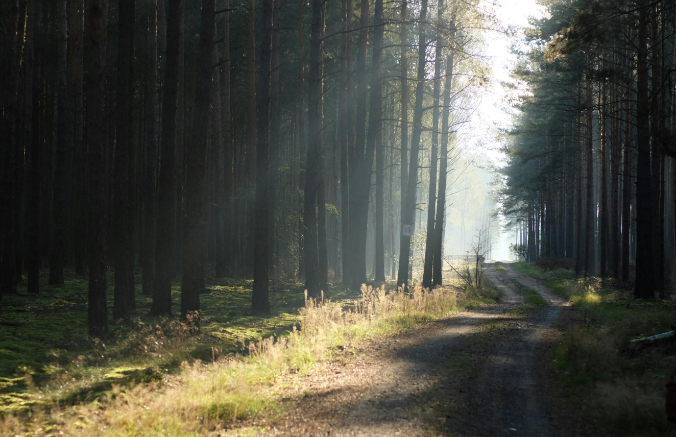 To My Beloved Teacher