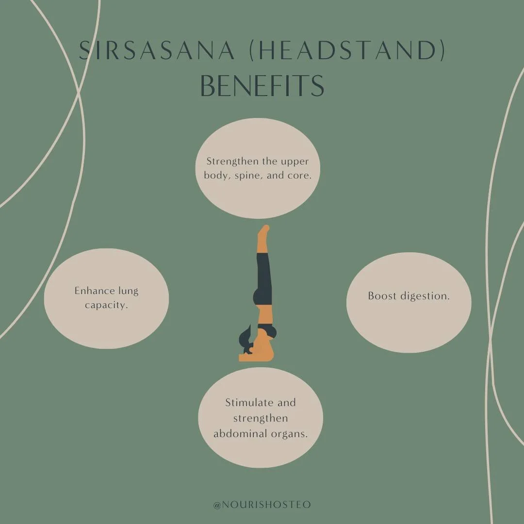 ✨Wednesday Benefits✨

Sirsasana may help in improving the concentration, balance and posture of the body and can reduce the production of stress hormone. Sirsana can improve digestion, blood circulation and flexibility. If you don't feel comfortable 