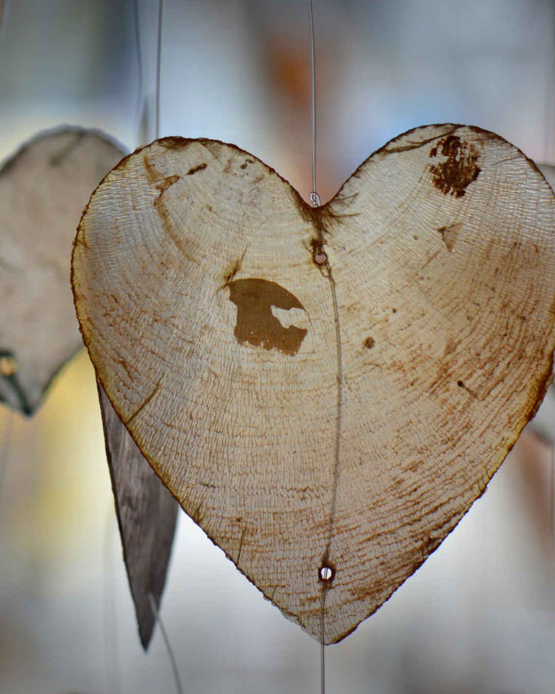 Somatic & Embodiment Circle with Hyon Joo (Online)