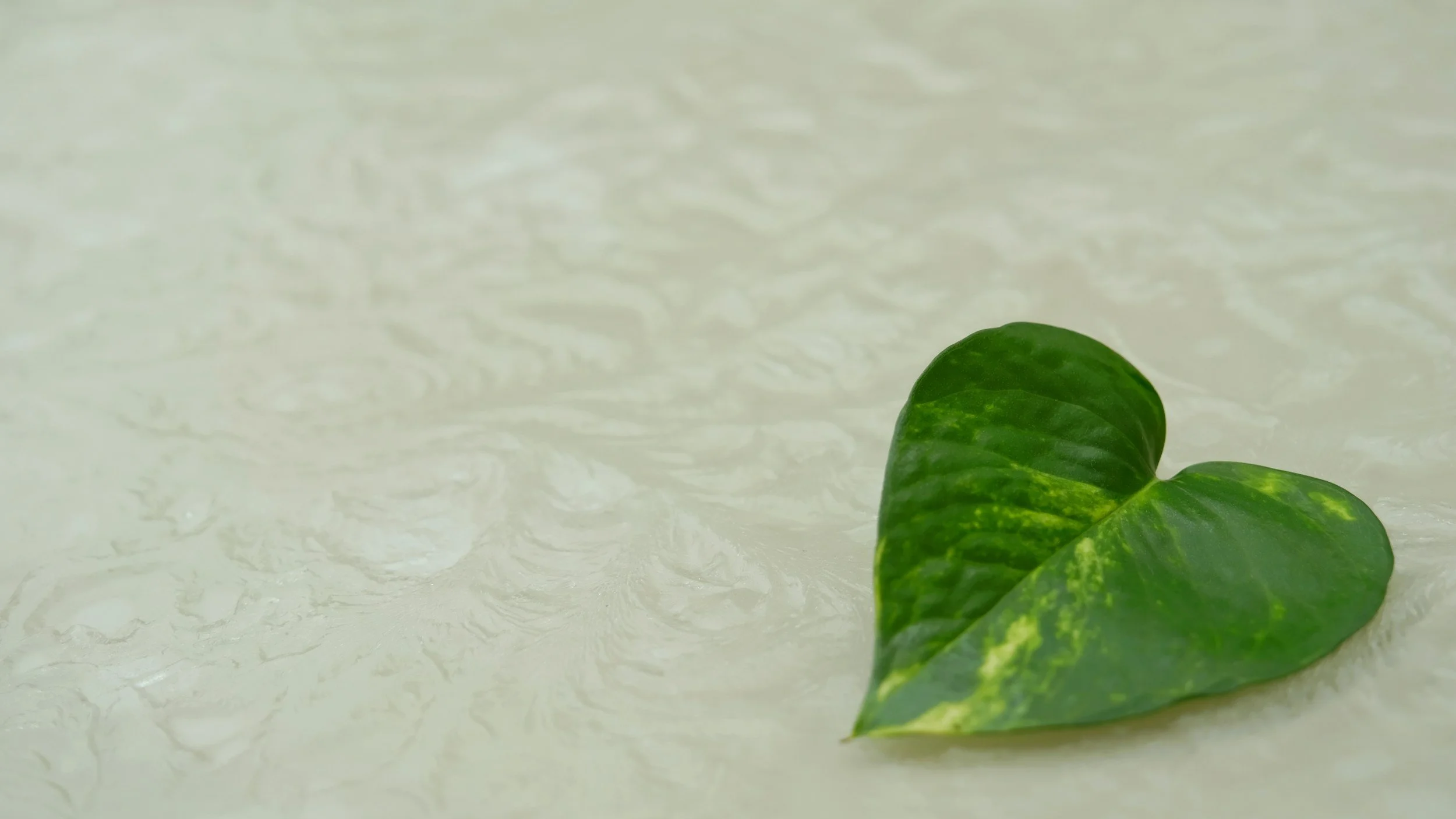 Body Awareness & Community Acupuncture 