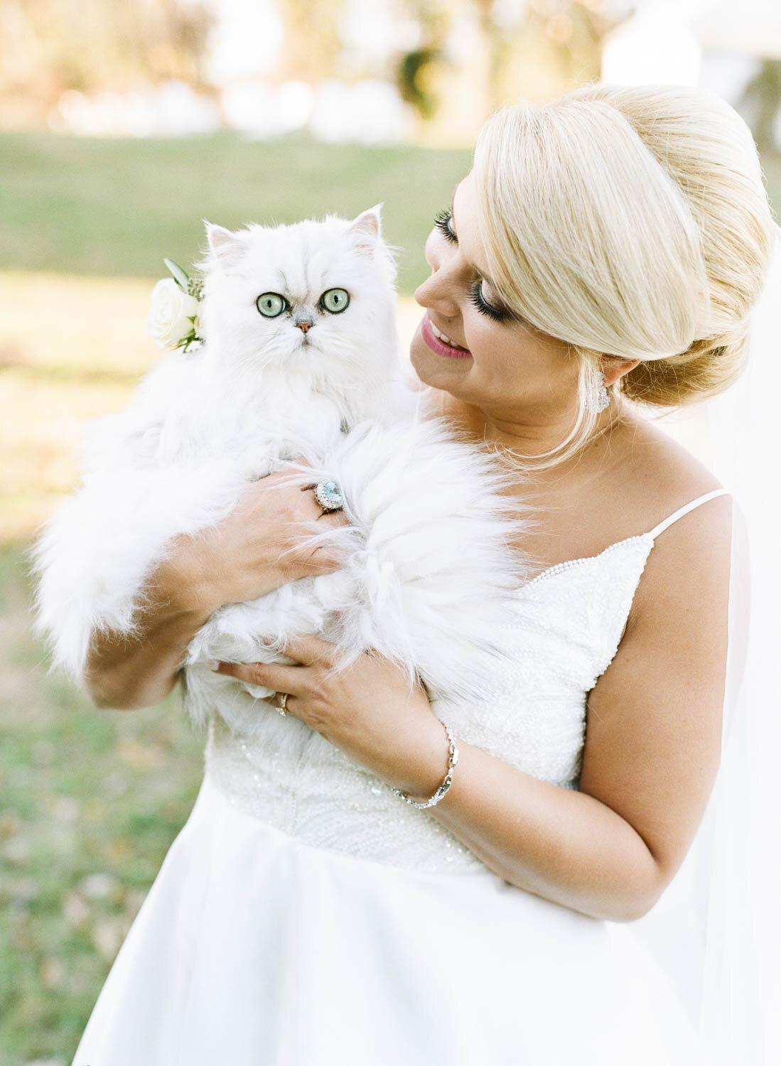 Bride and cat at wedding 
