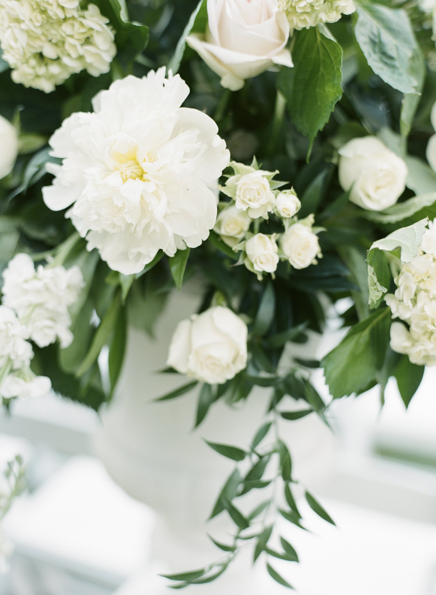 Greenbrier-Resort-Wedding-Photographer-95.jpg