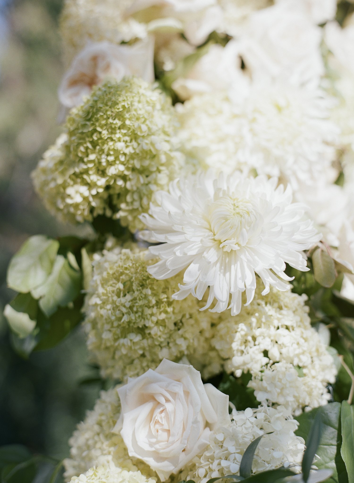 Greenbrier-Resort-Wedding-Photographer-91.jpg