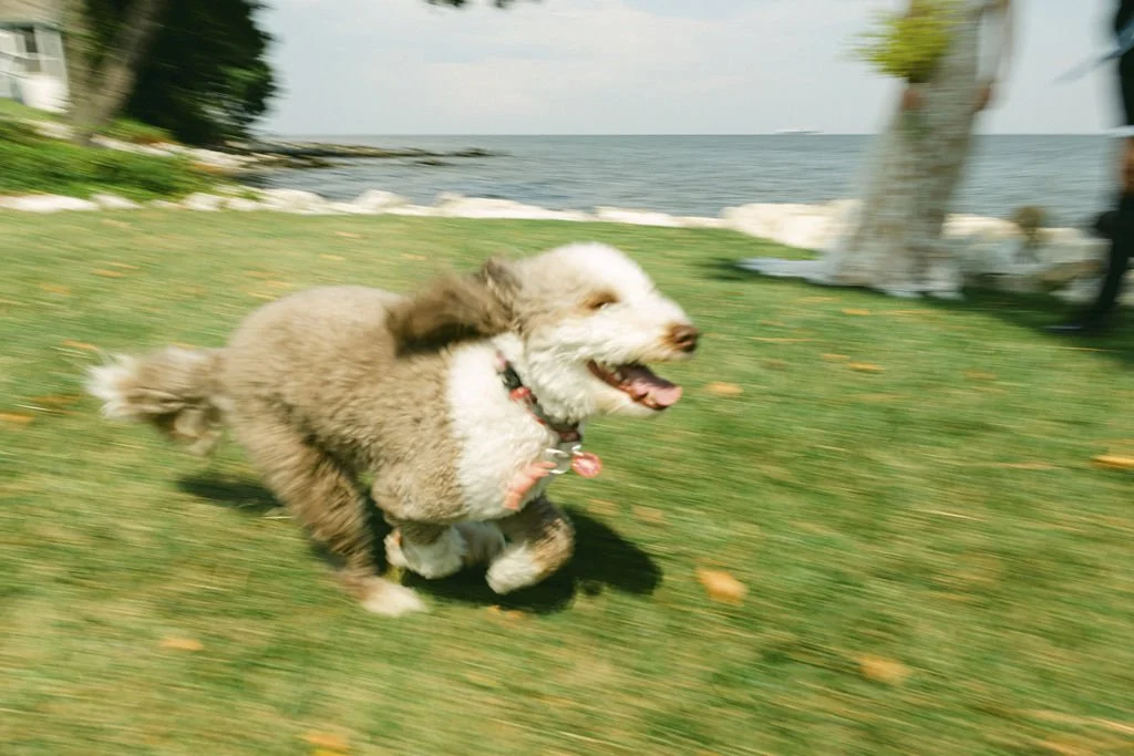 best-photographers-in-maryland.jpg