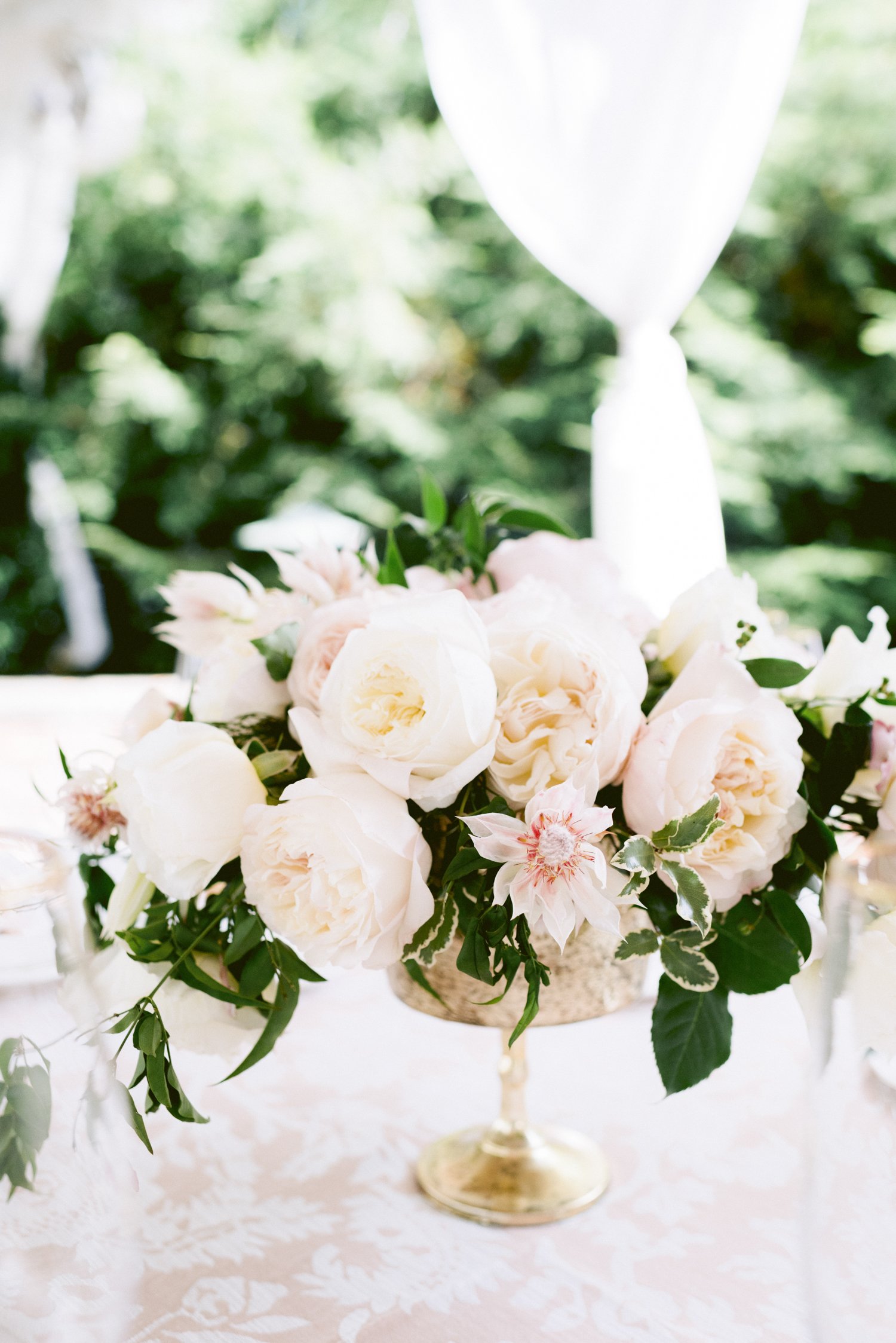 Best-Greenbrier-Resort-Wedding-Photographer.jpg