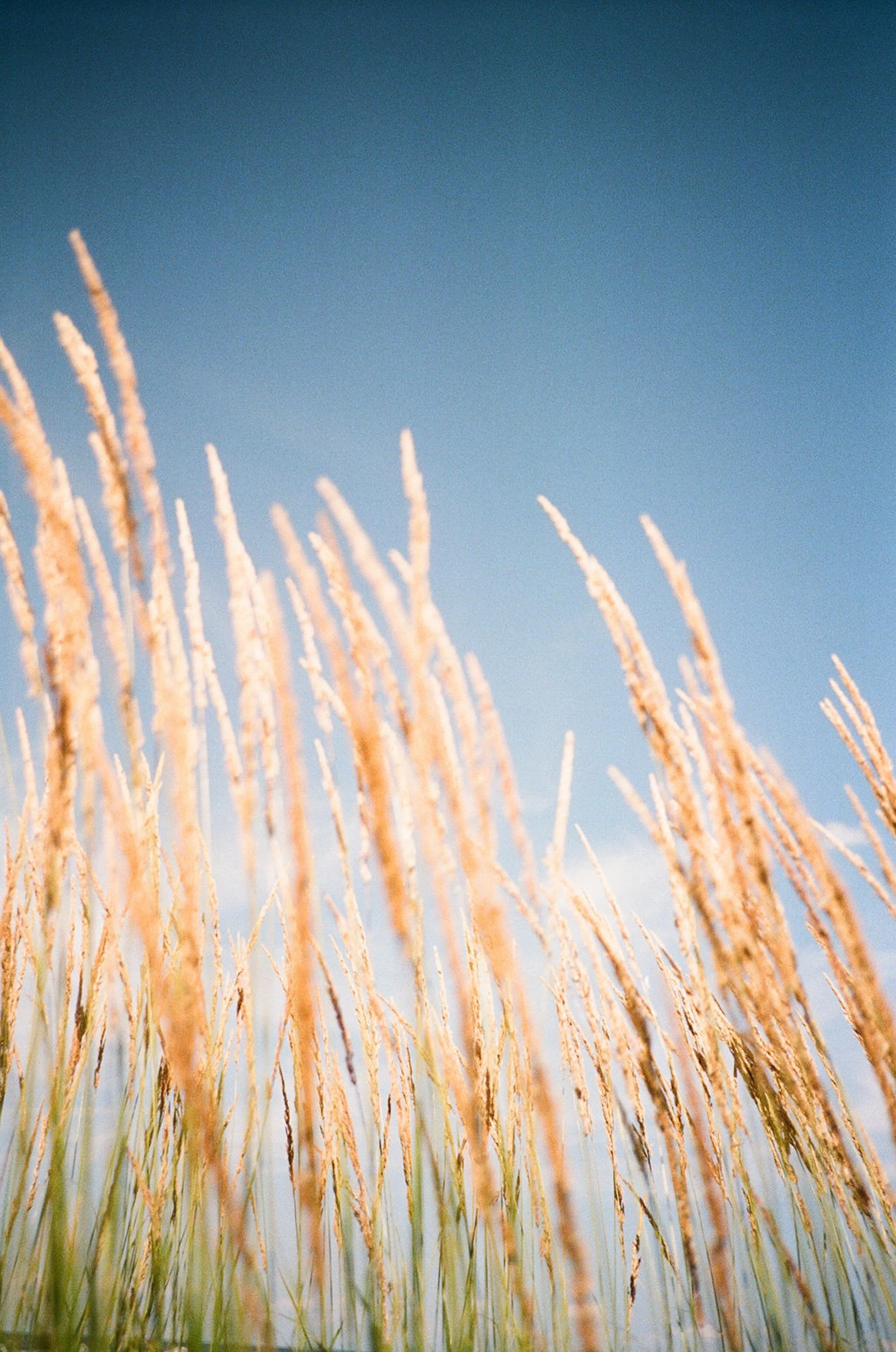 CatherineFilm-LisaBlumePhoto-24.jpg