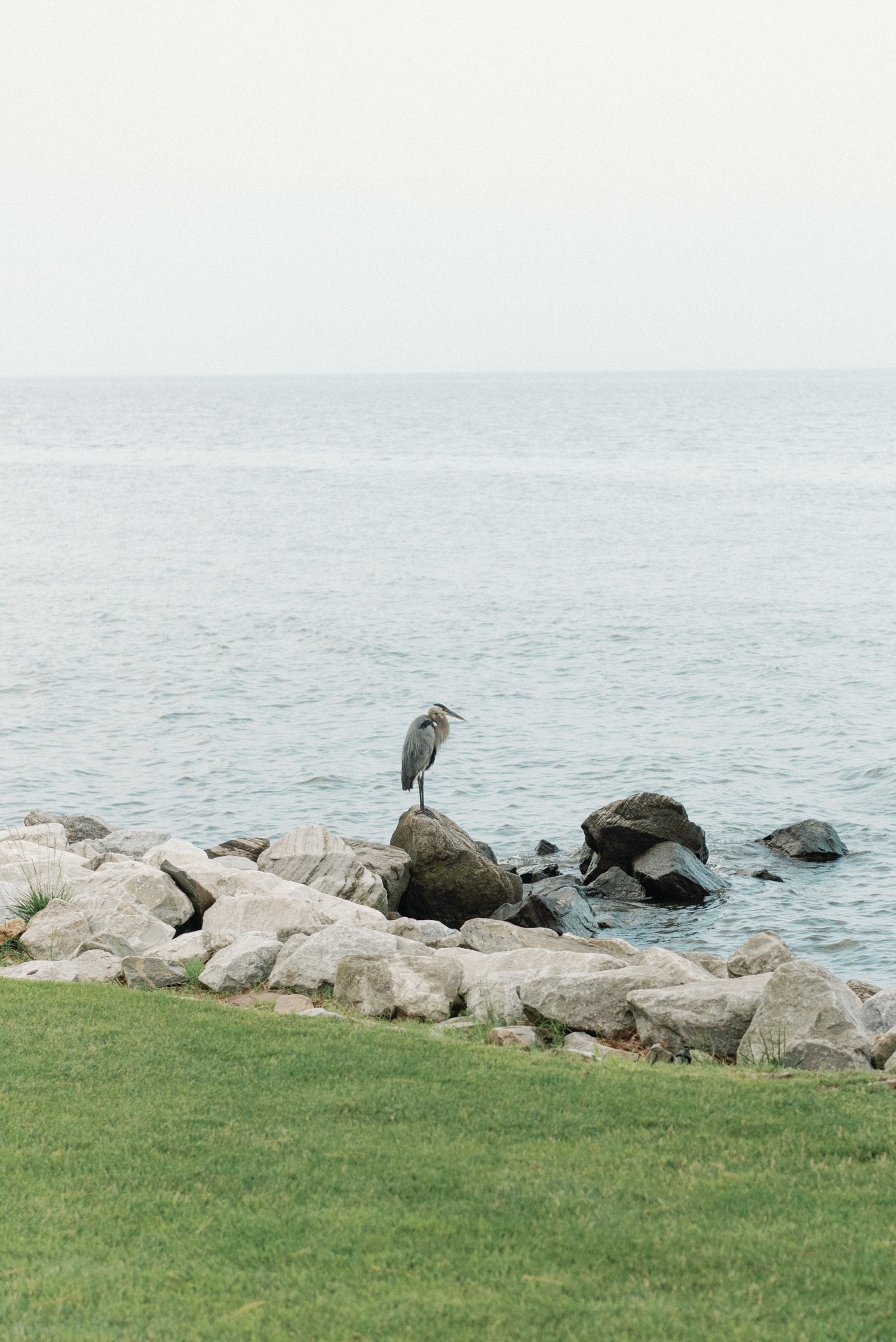 destination-photography-gibson-island.jpg