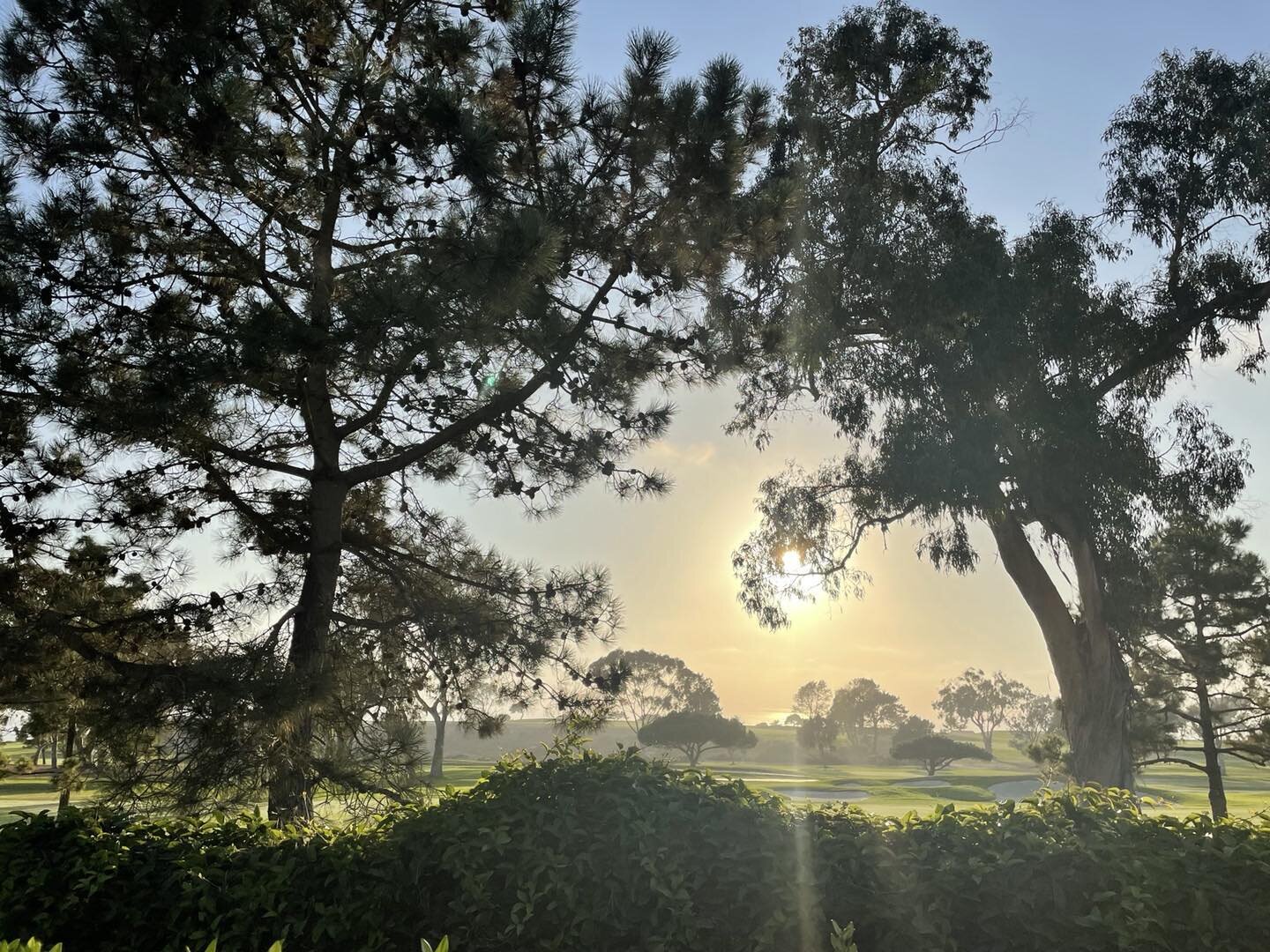 A beautiful weekend at Torrey Pines. Aaahhh. Fresh air and lots of space.