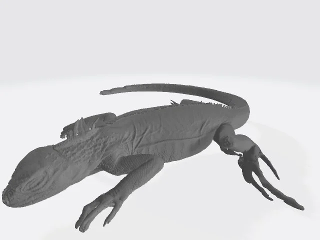 Iguana iguana