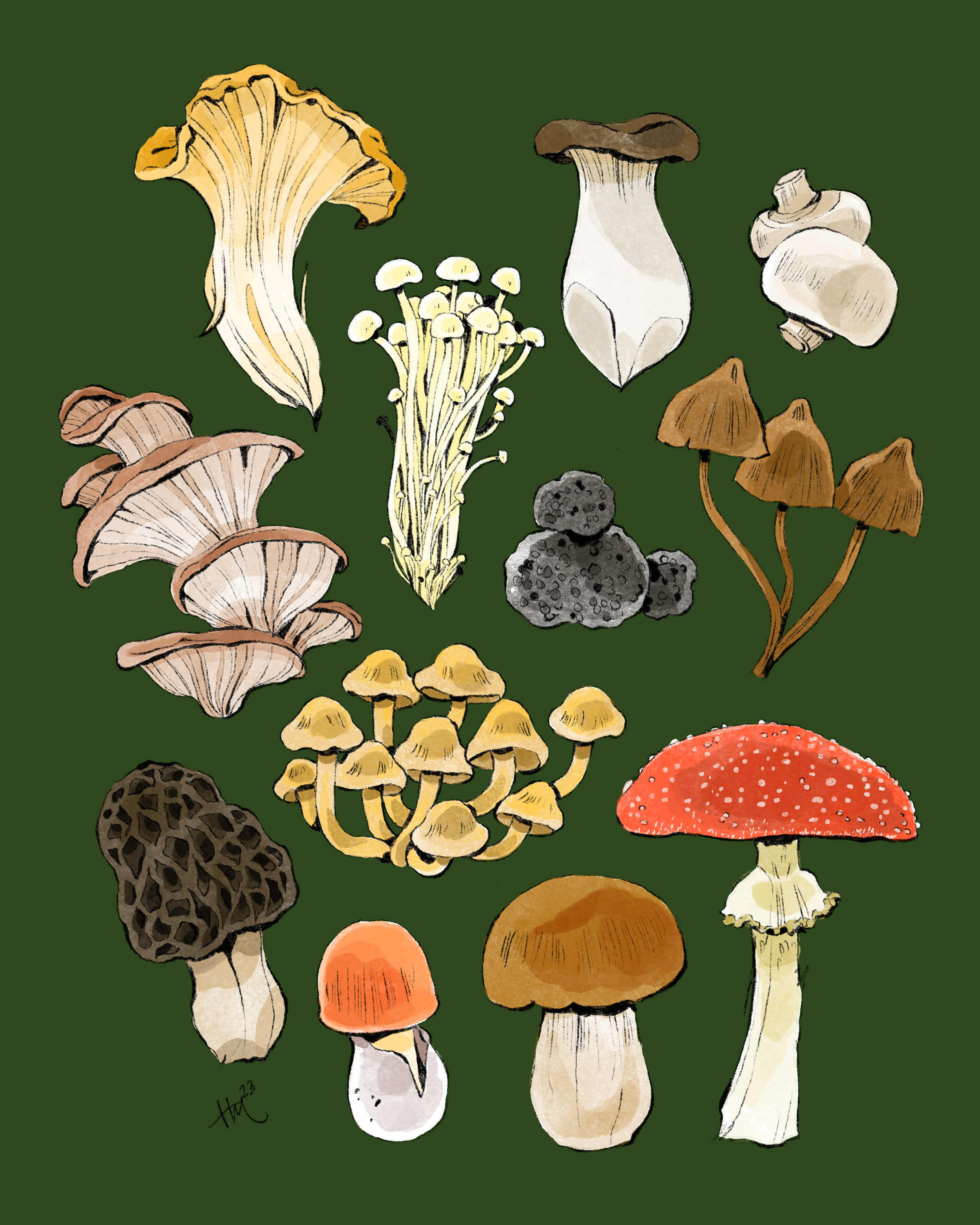Mushrooms
