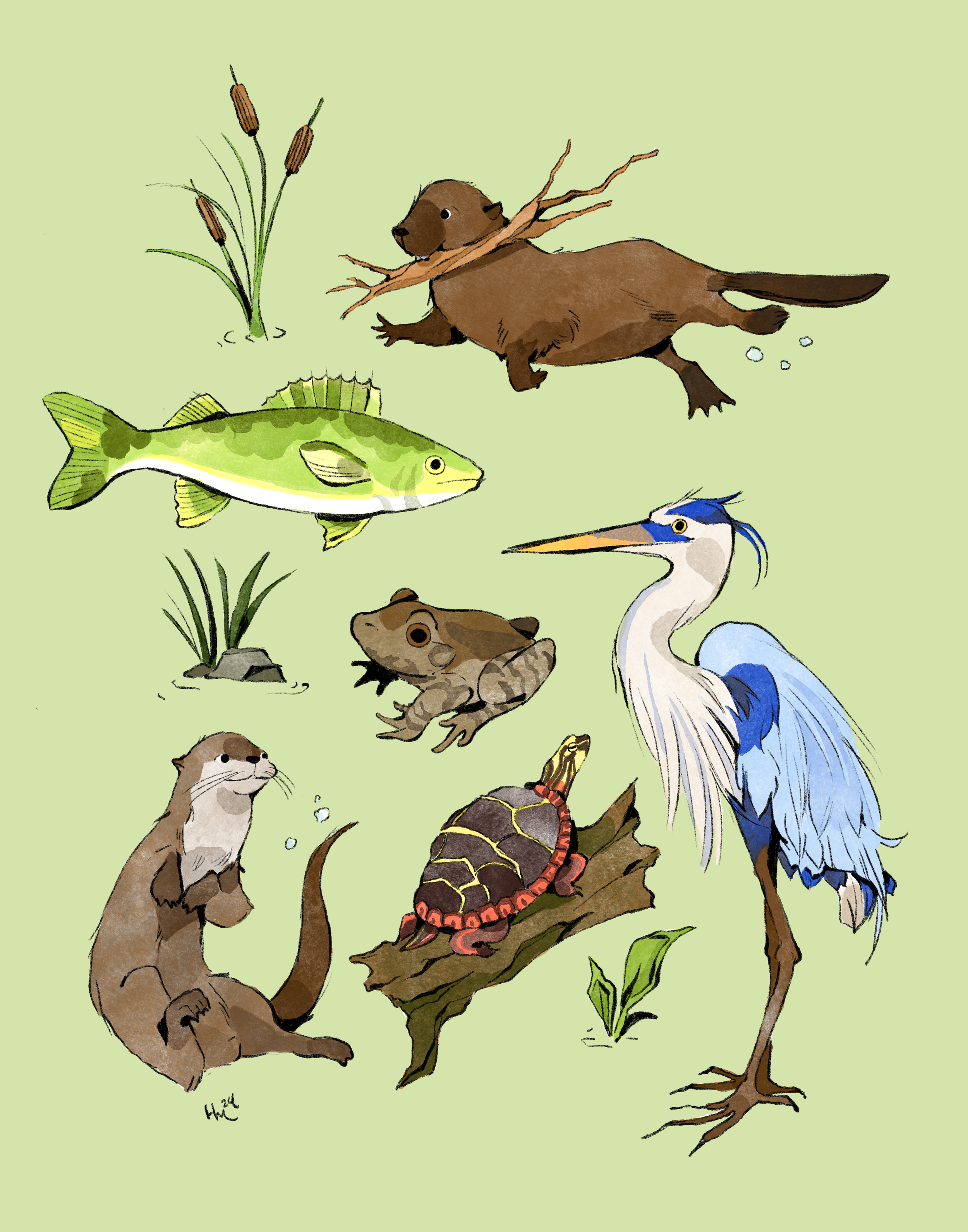 Animals