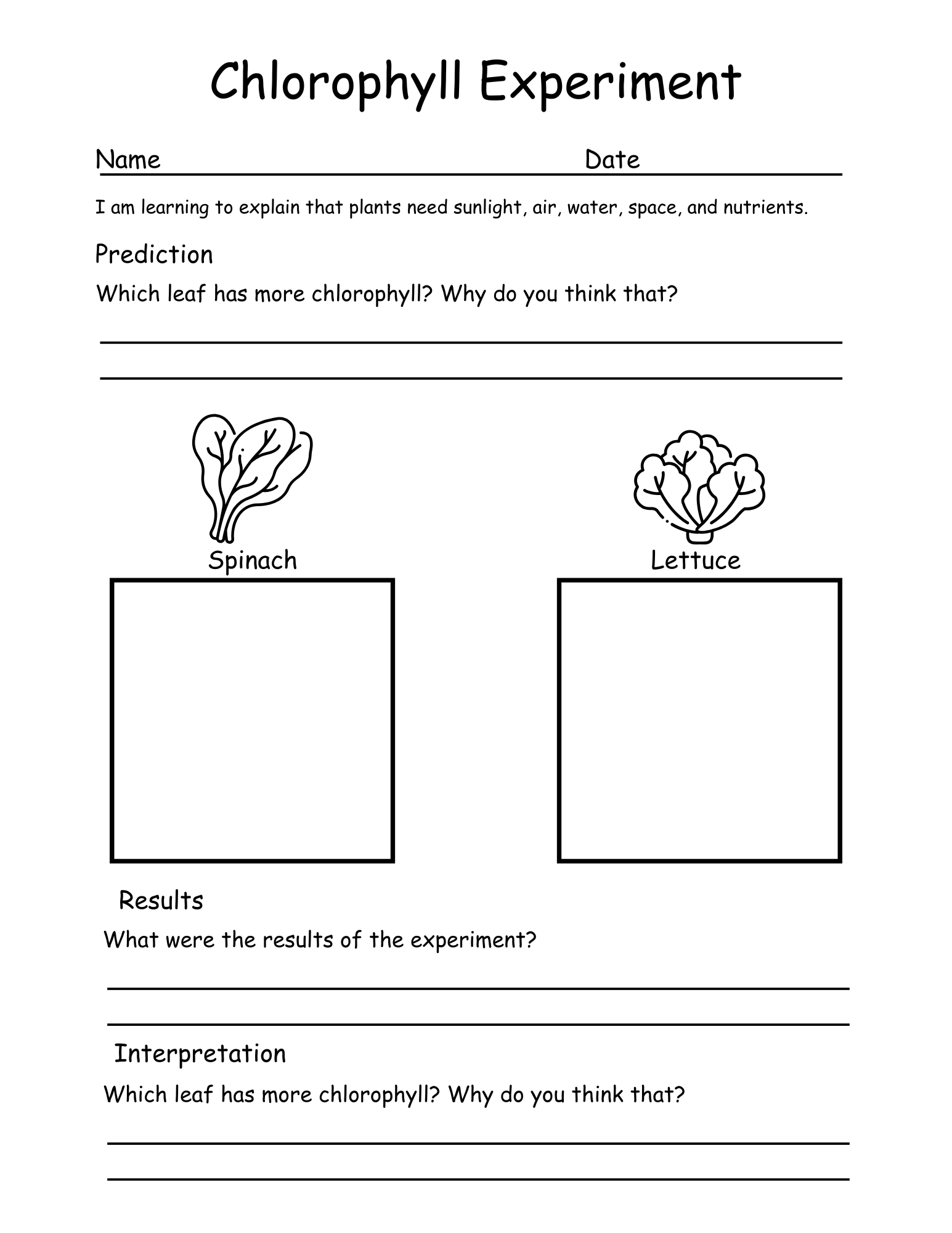 Science Experiment Worksheet
