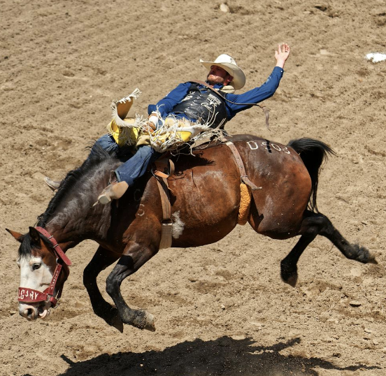 Inside My Stories: Why I’m Drawn to Stories of Belonging