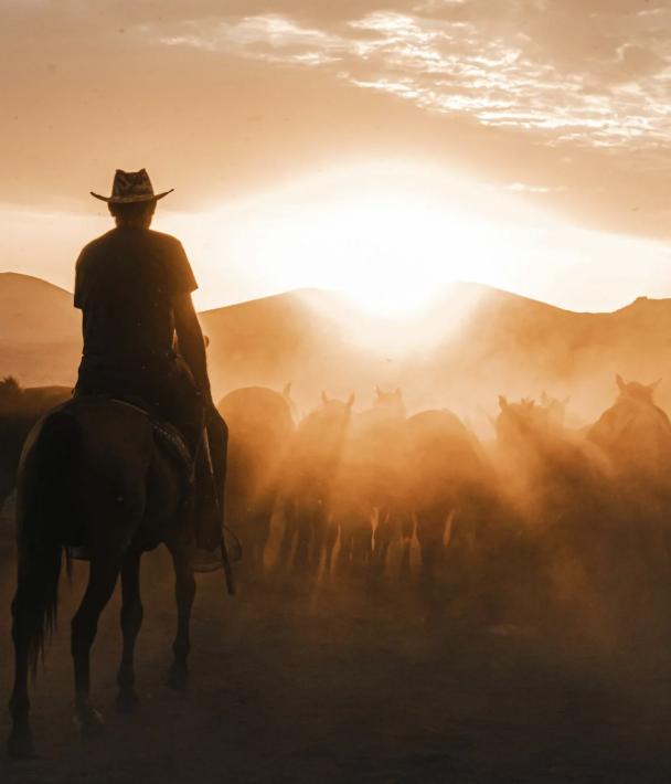 Inside My Stories: Why the West Feels Like Home to My Stories