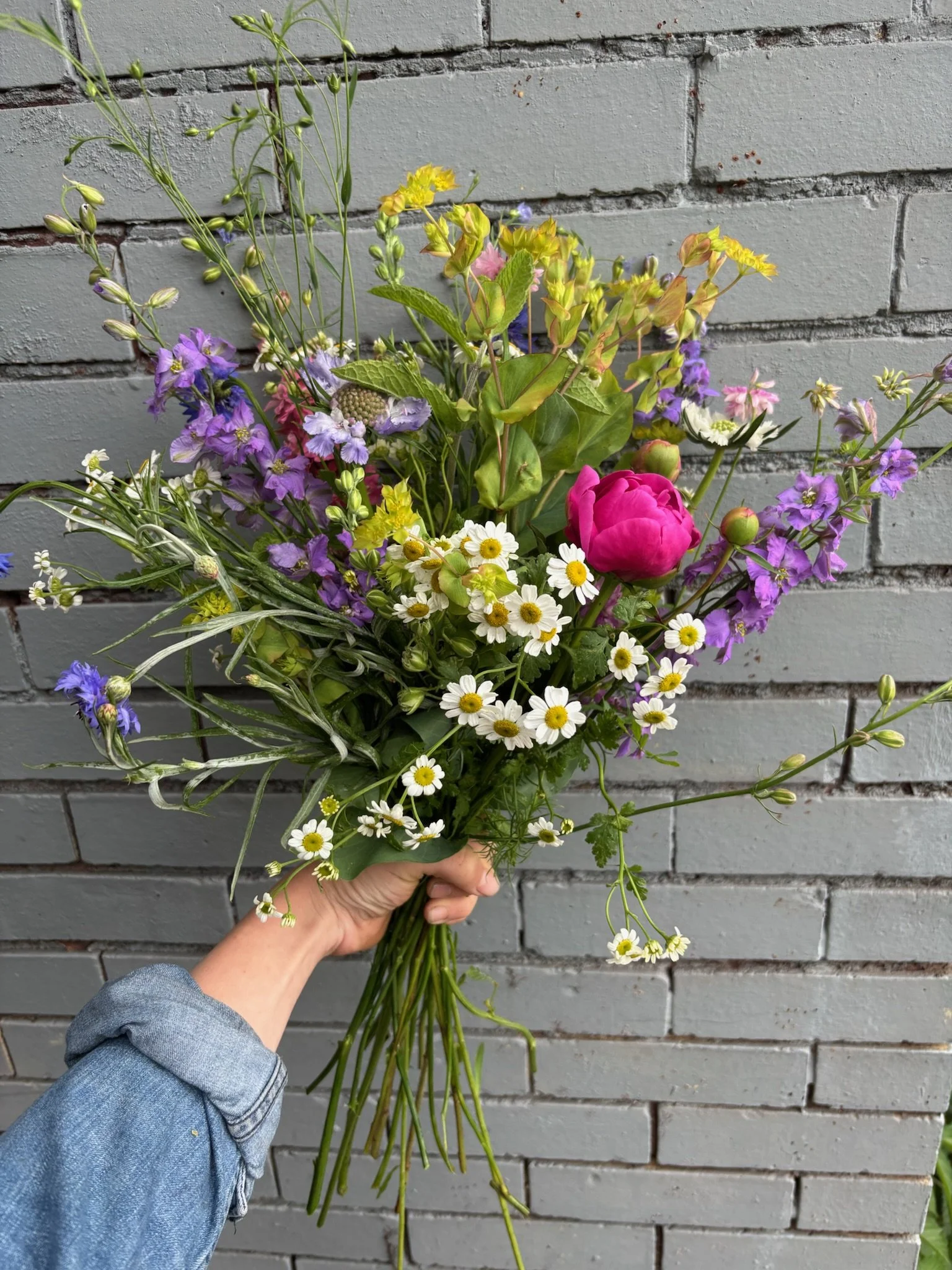 2026 Frequent Flyer Pass