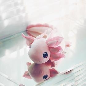 Axolotl Toy -  Norway