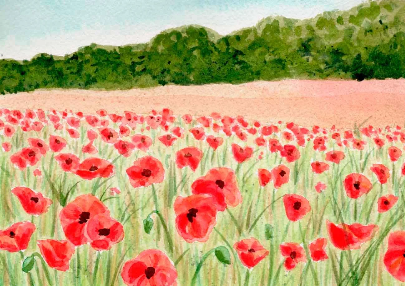 Field of Poppies