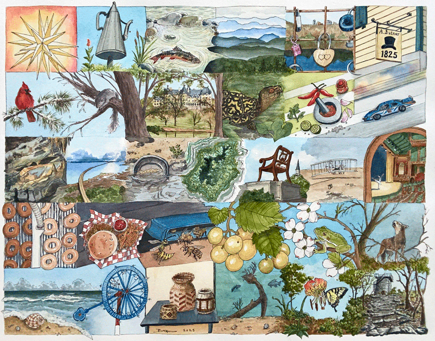 A North Carolina Patchwork