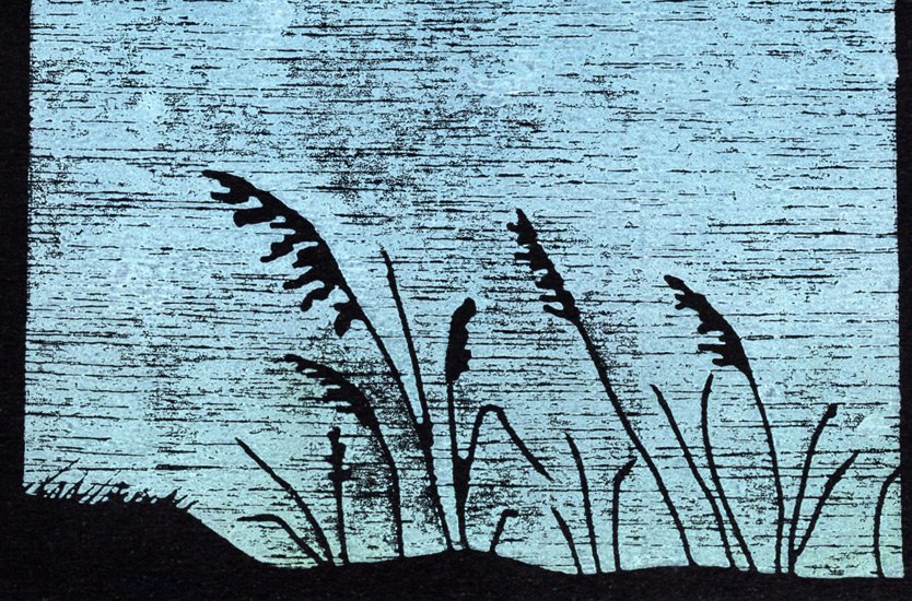 Sea Oats in Black and Blue