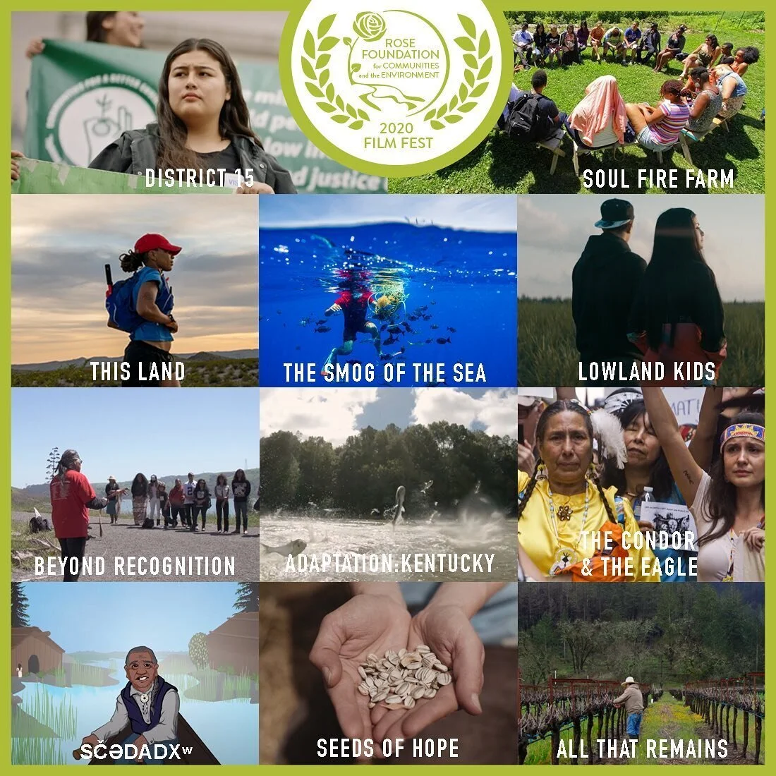 Rose Foundation 2020 FilmFest