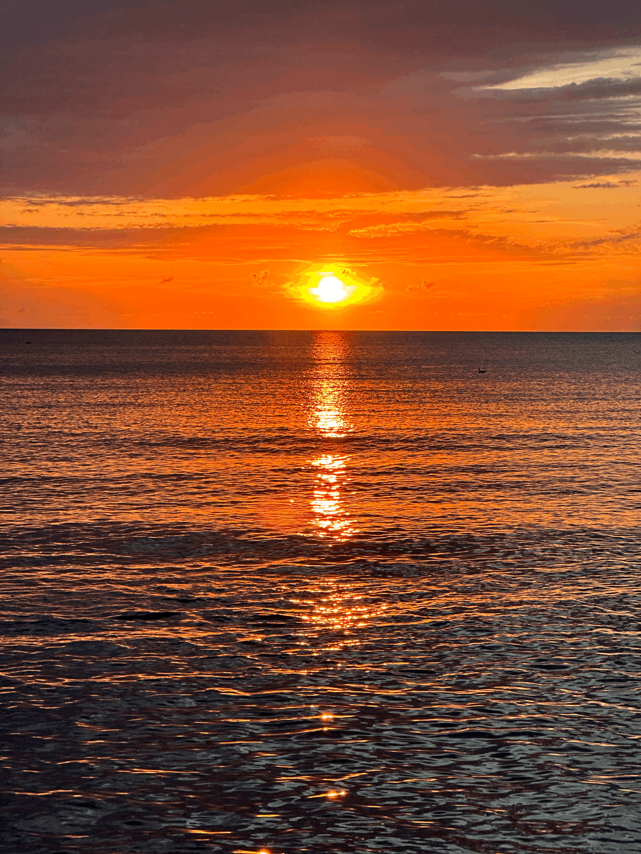 We Are Closed For The Moment