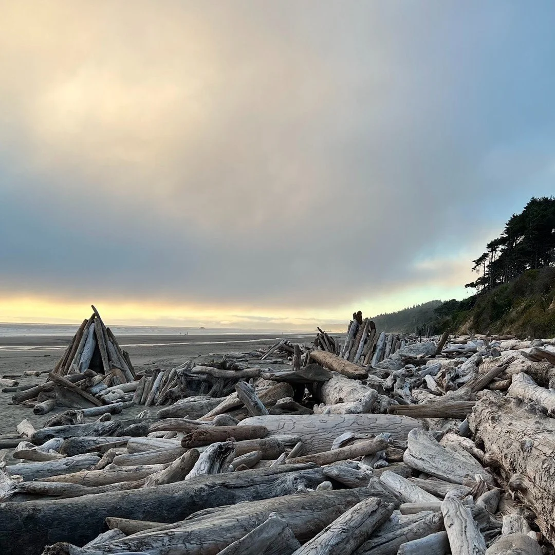 Pre-August Elopement we hiked Hurricane Hill via Hurricane Ridge, wandered the Kalaloch beaches with the seals playing in the cold Pacific waters and marveled at the magical Tree of Life with its roots suspended, seemingly immortal.