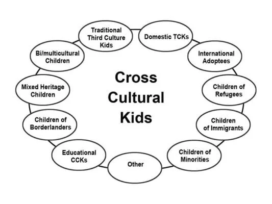 CCKs conception, a chart from Third Culture Kids: Growing Up Among Worlds. As a then-time international student, a college admission counselor, a first-generation immigrant, and a parent of a Chinese American, TCKs and CCKs are the topics Amber cares about most when working with kids and young adults.