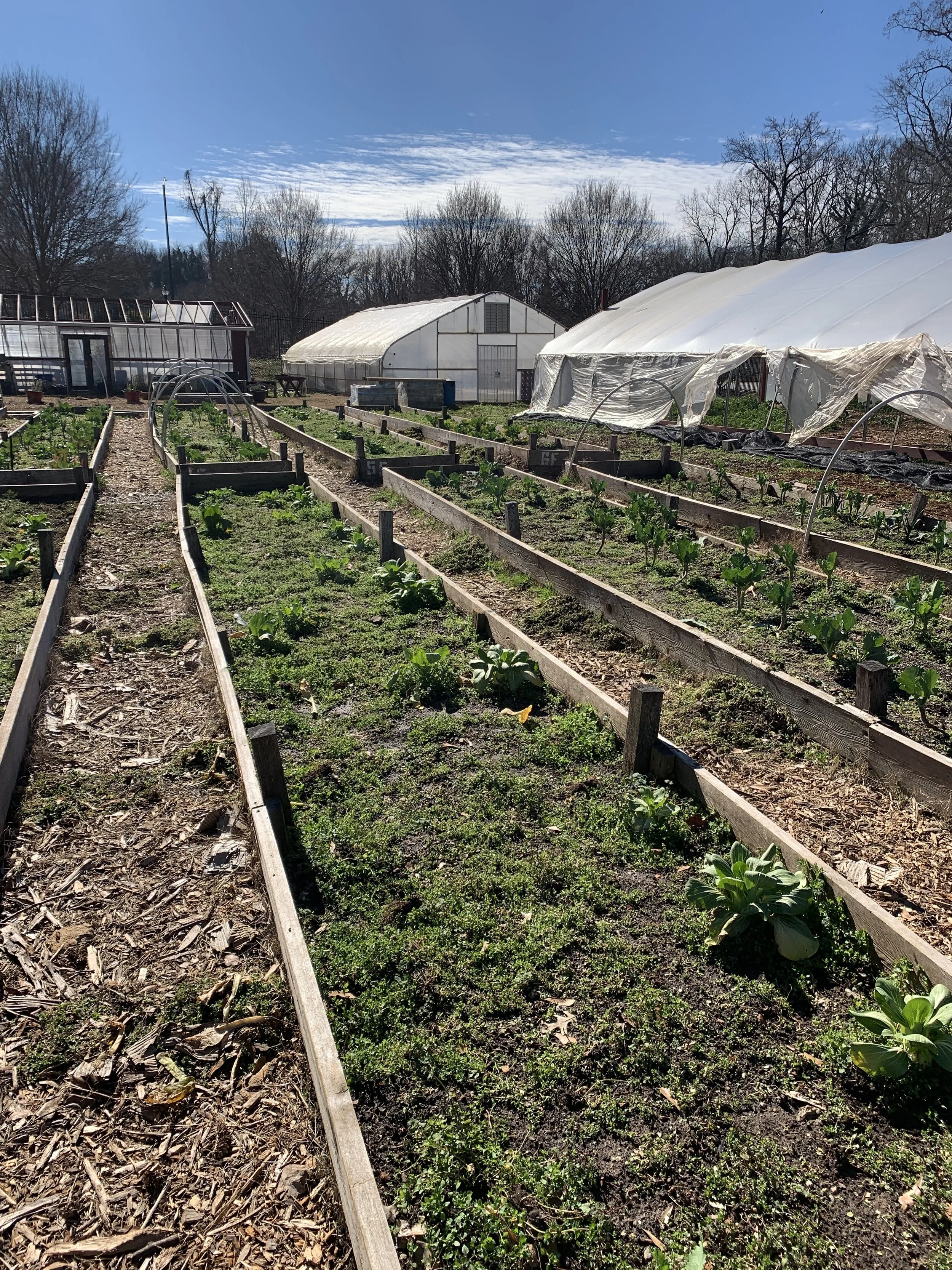 West End Community Farms- Service Design Research