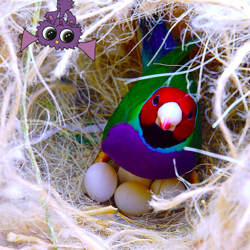 birds in nest.png
