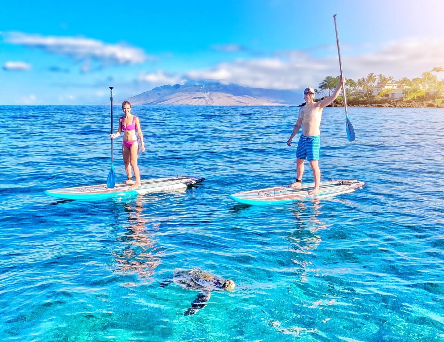 Maui paddle boarding