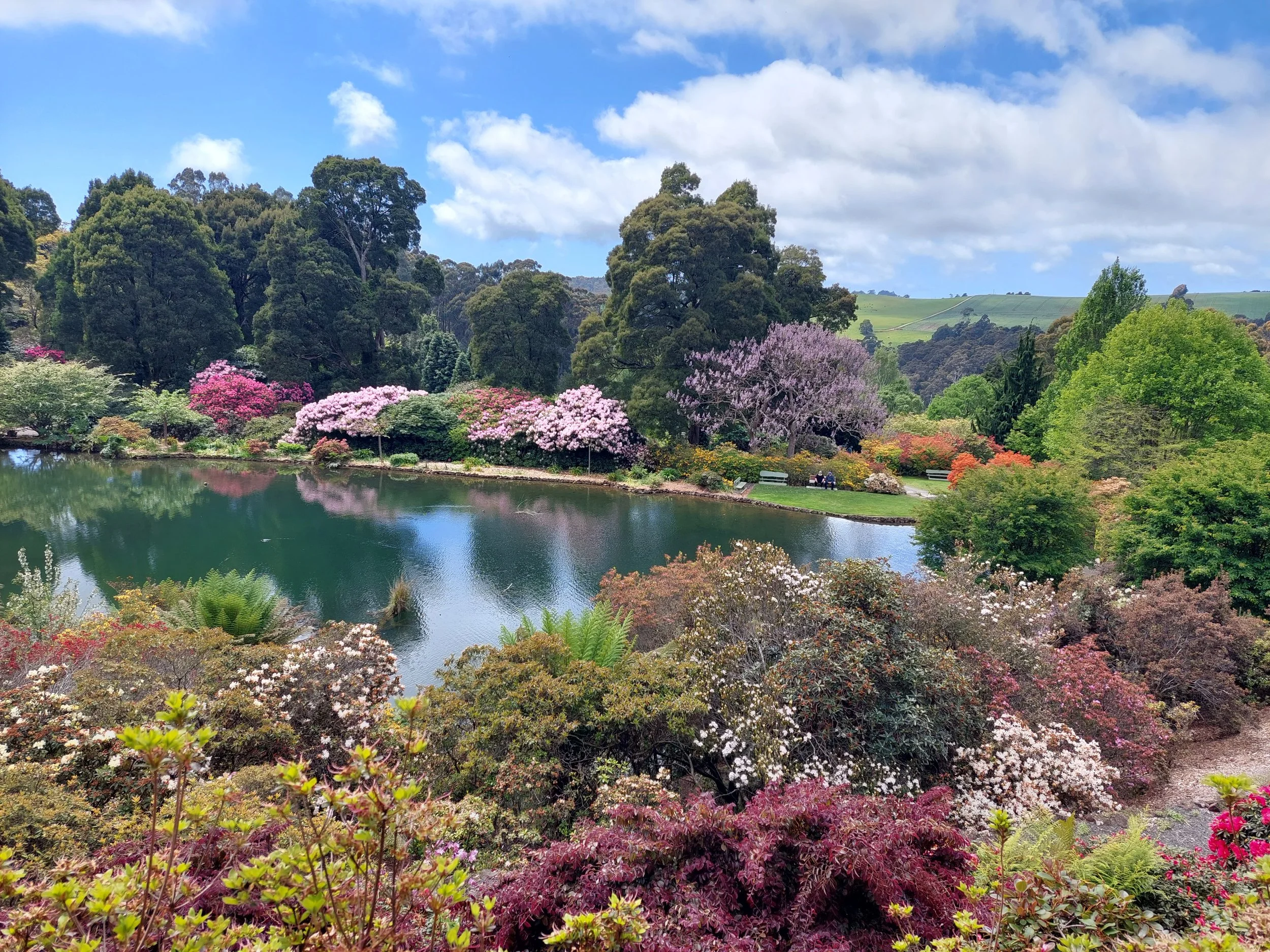 A lush landscape with a variety of colorful flowering trees and shrubs surrounding a calm pond, under a partly cloudy sky.