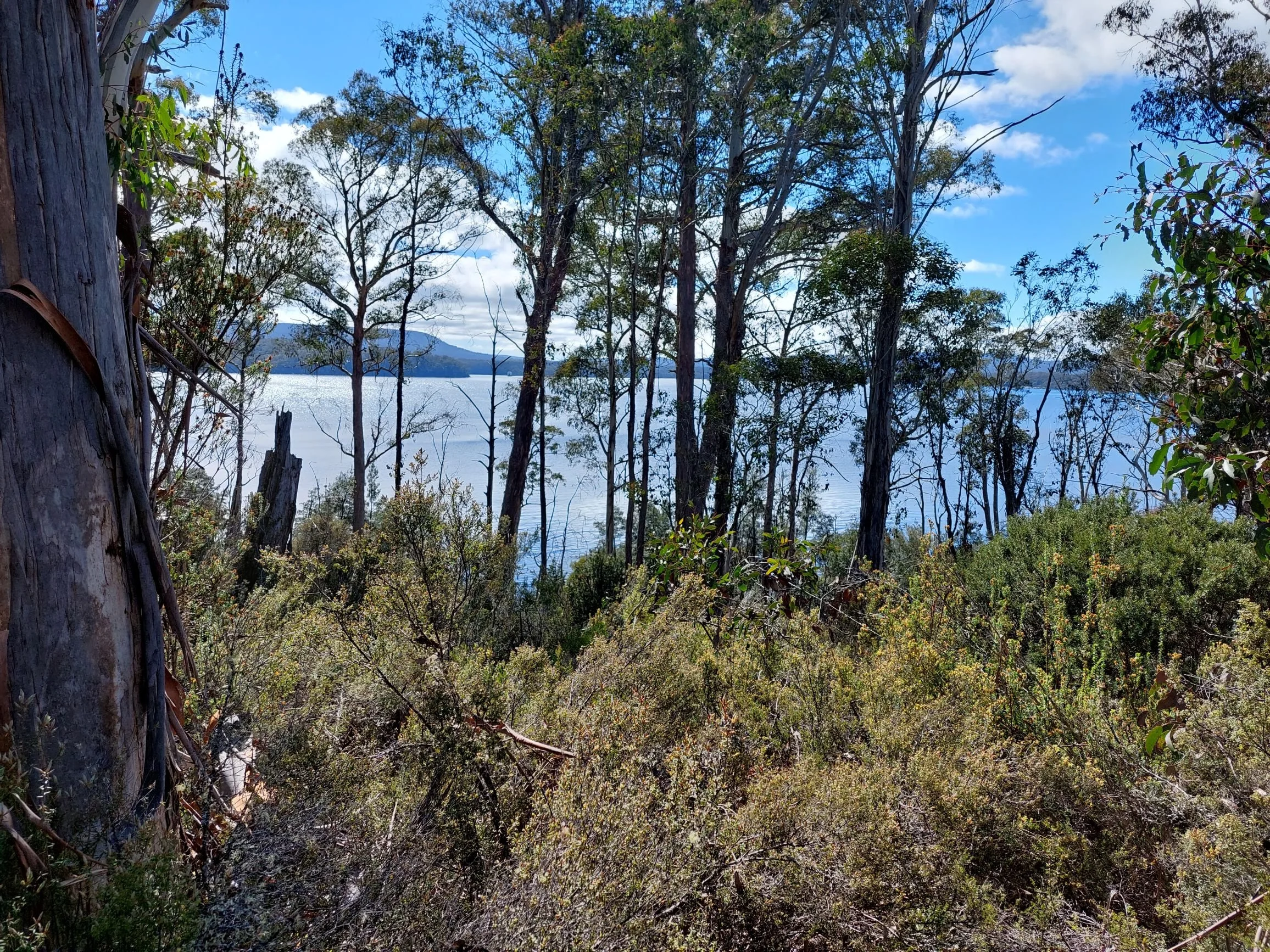 Leave No Trace Tips for Tasmania's National Parks