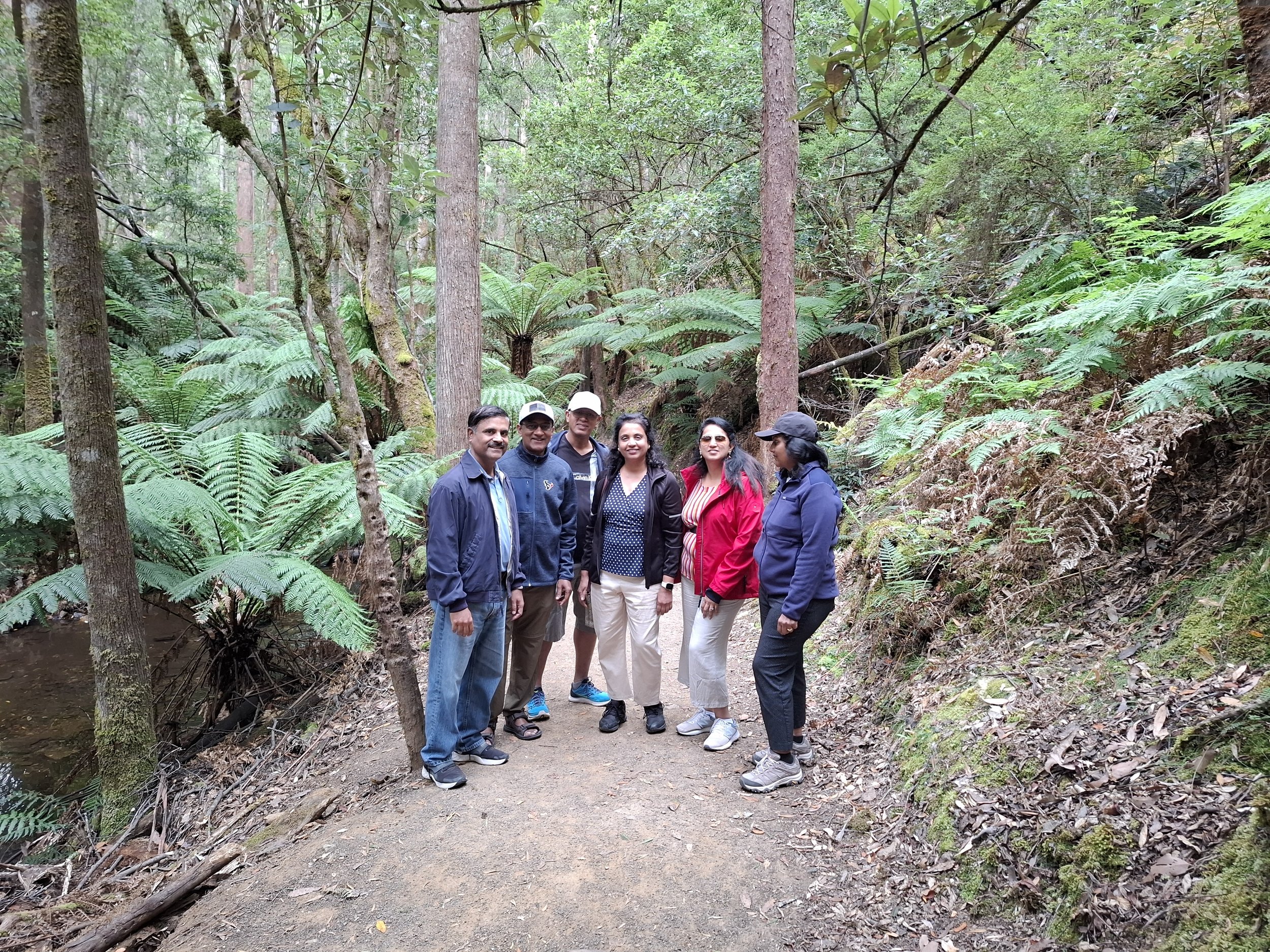 The Best Easy Walks Near Hobart