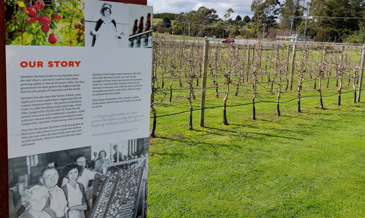 Burnie Shore Excursions — eGuide