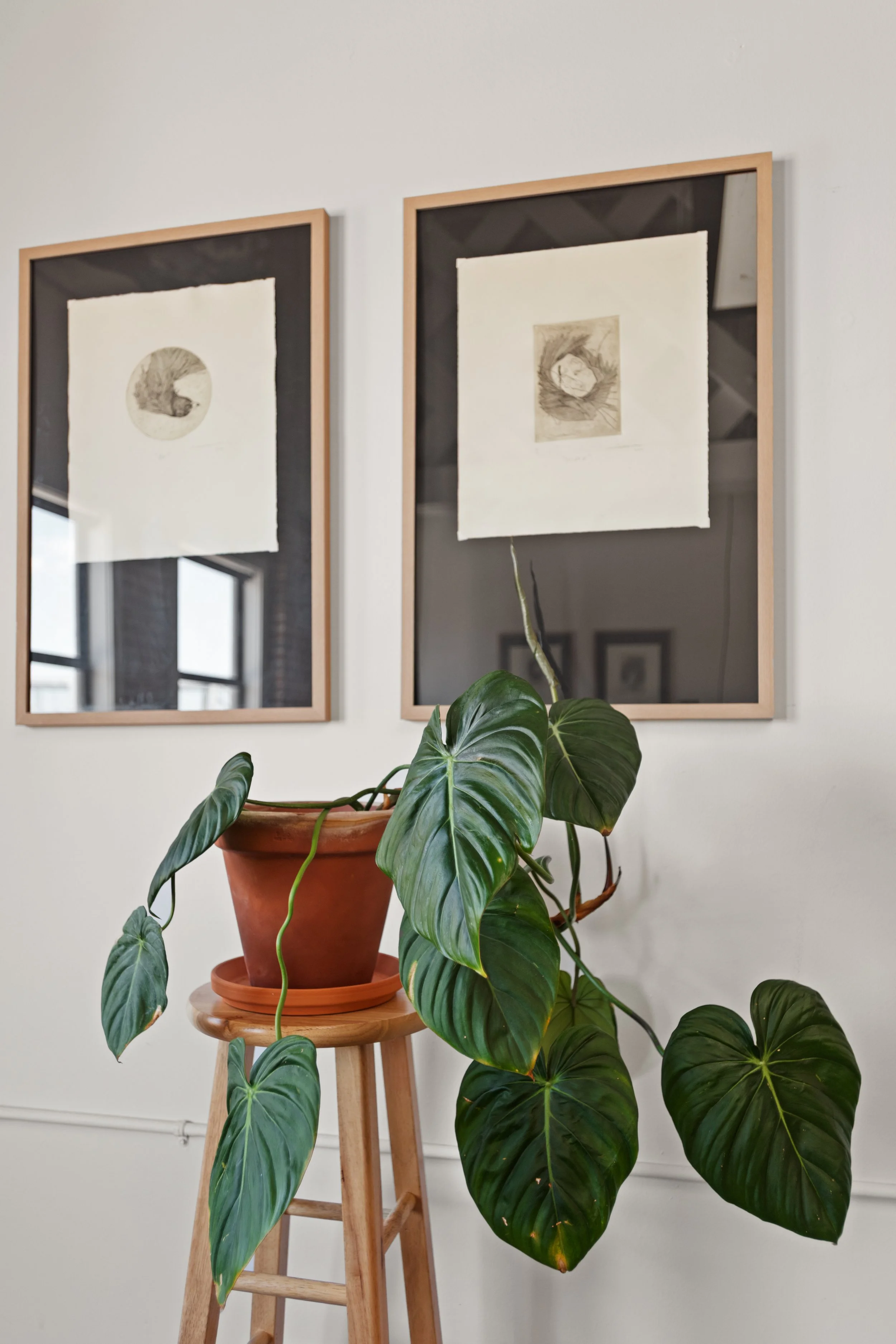 BetterSpace001-9.jpg