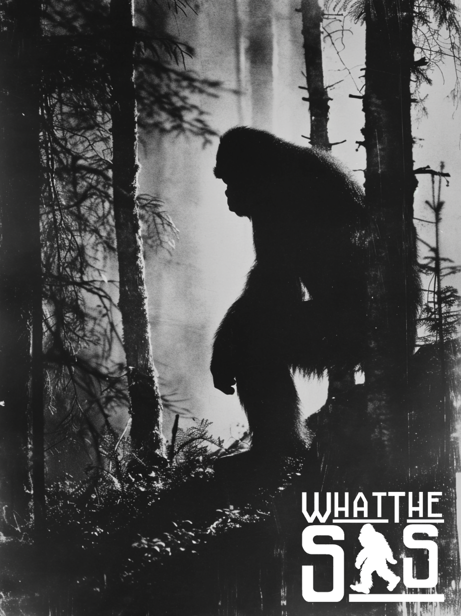Whispers in the Woods: The Legend of the Ohio Grassman