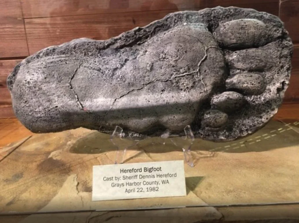 Georgia Bigfoot Museum, Expedition Bigfoot, The Sasquatch Museum, Finding Bigfoot, Bigfoot Shirts, Bigfoot Hats, Bigfoot Stickers, Bigfoot Knives, Bigfoot Knife, Sasquatch Shirts, Sasquatch Hats, Sasquatch Knives, Sasquatch Knife, Sasquatch Speakers