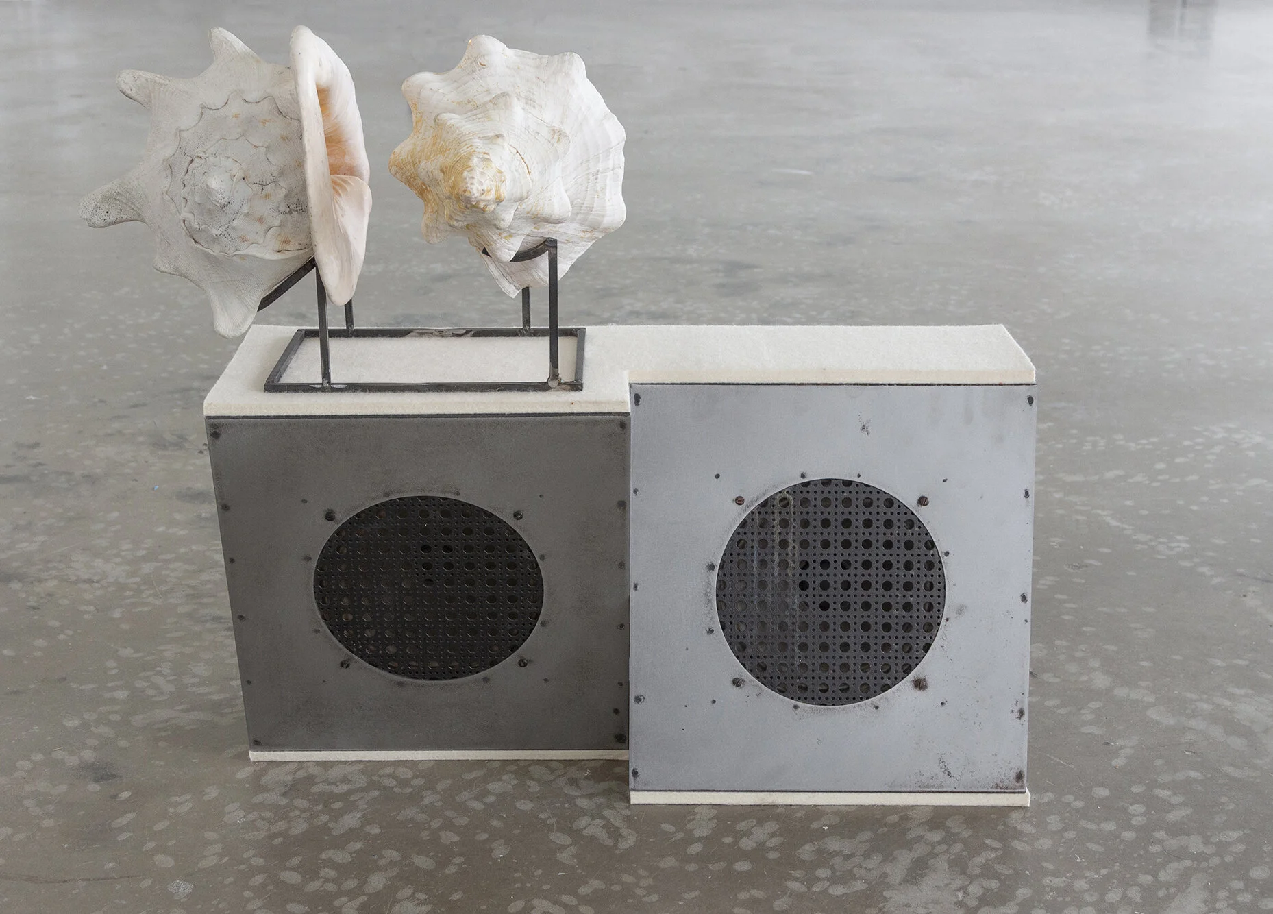 Conch Loop _ Isometric Speaker Reflection_cropEdit_150dpi.jpg